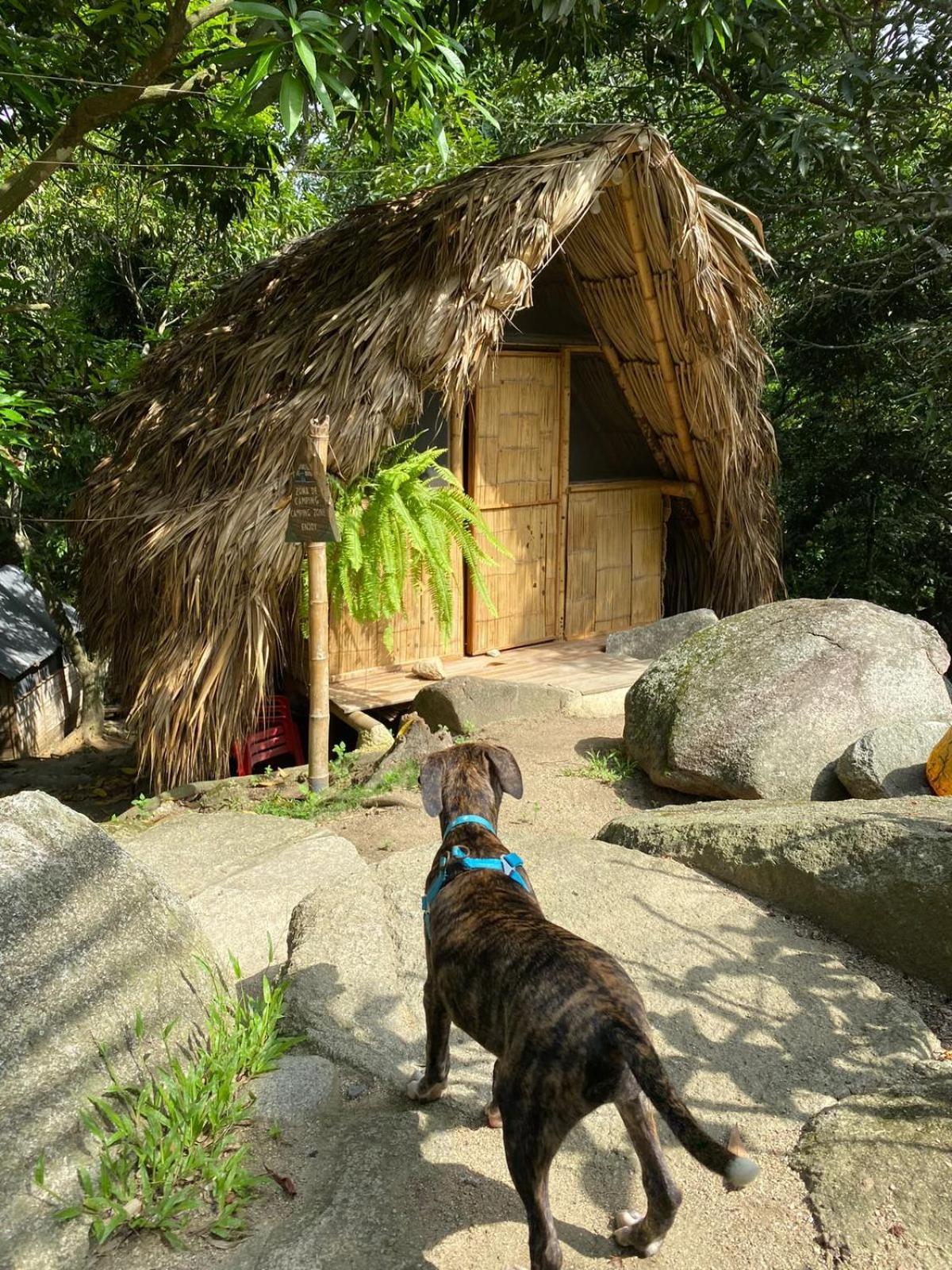Hostal Dos Quebradas Santa Marta  Exterior foto